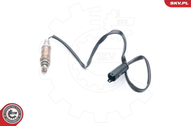 Oxygen Sensor